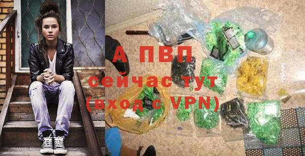 гашик Балахна