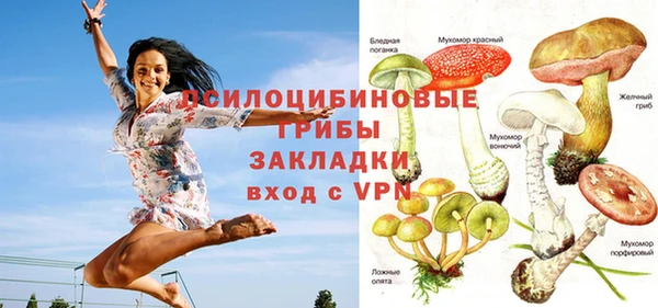 гашик Балахна