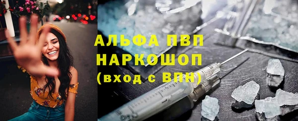 гашик Балахна