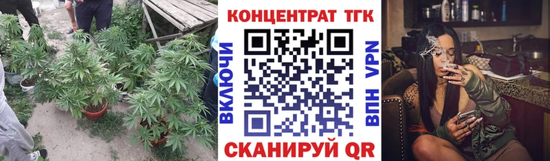 ТГК Wax Курганинск