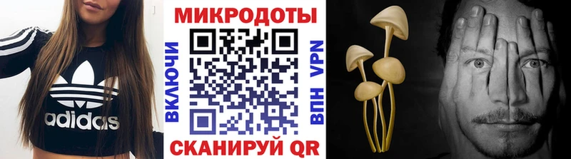 MEGA зеркало  Курганинск  Псилоцибиновые грибы ЛСД 