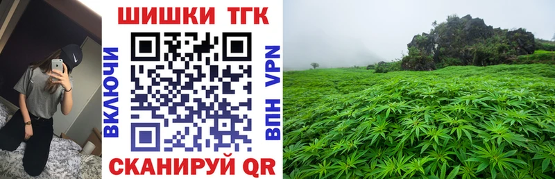 где купить наркотик  Курганинск  MEGA как войти  МАРИХУАНА семена 